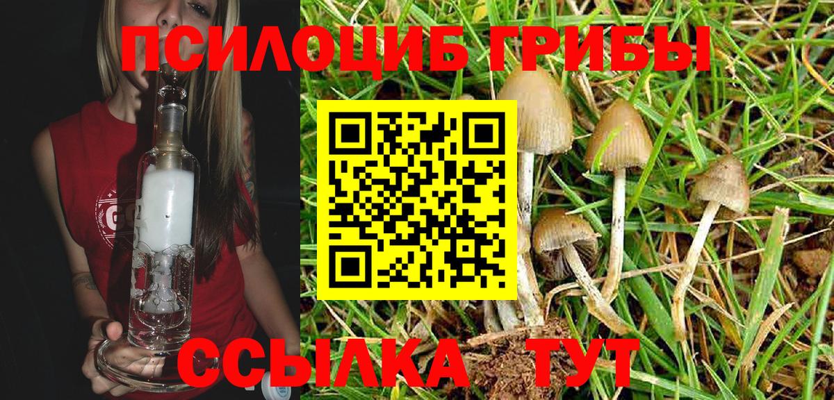Галлюциногенные грибы MAGIC MUSHROOMS Шебекино