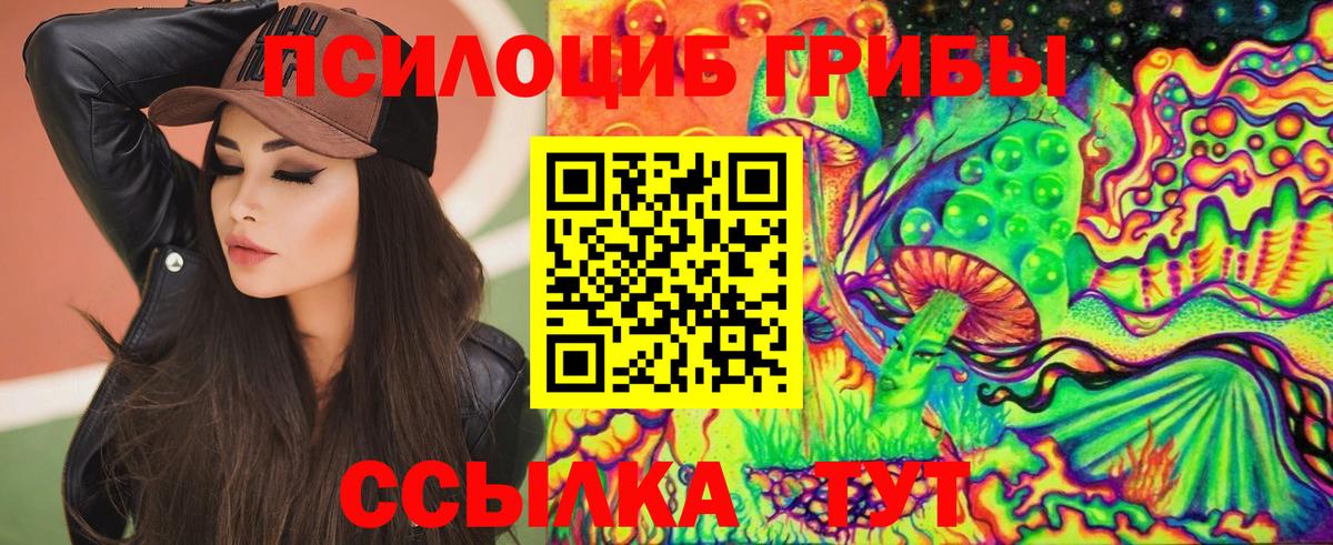 Псилоцибиновые грибы Cubensis  магазин продажи наркотиков  Вход с VPN  Шебекино  Галлюциногенные грибы мицелий 