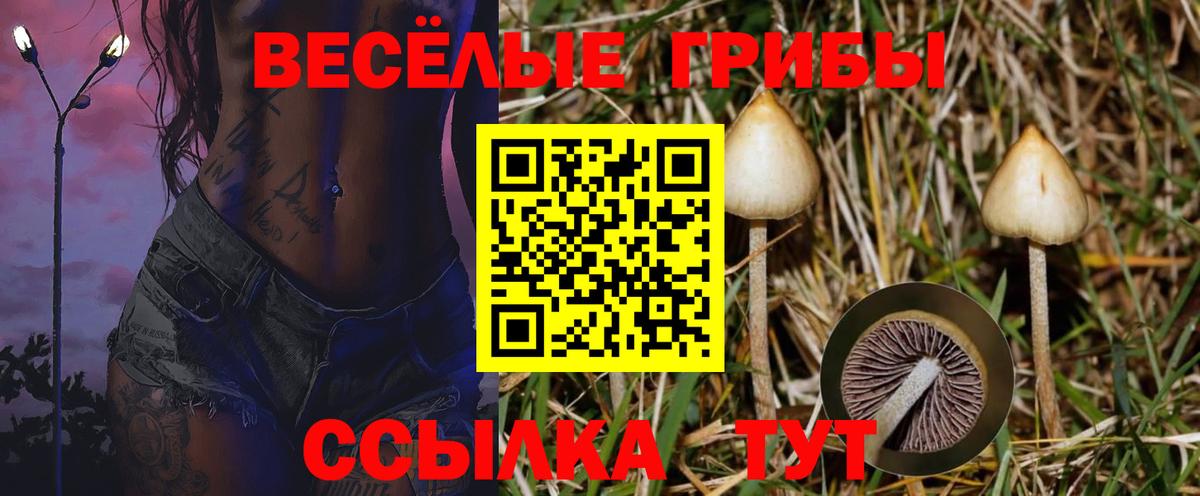 Канабис  Гашиш  Экстази  Каннабис  Меф   Вход с VPN  Шебекино  Гашиш 