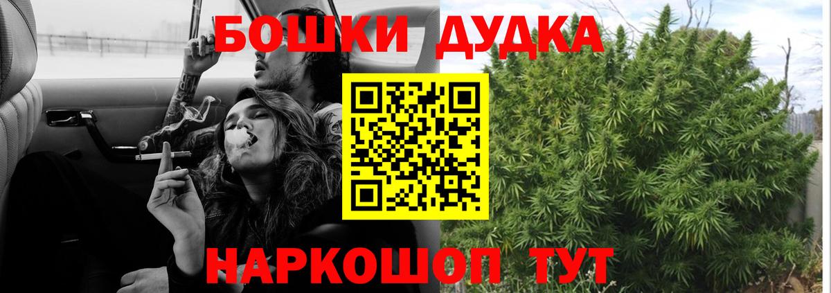 Шебекино  Бошки марихуана сатива  Вход с VPN  Каннабис SATIVA & INDICA  Конопля марихуана  Бошки Шишки сатива 